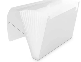 Imagem do produto PASTA SANFONADA.